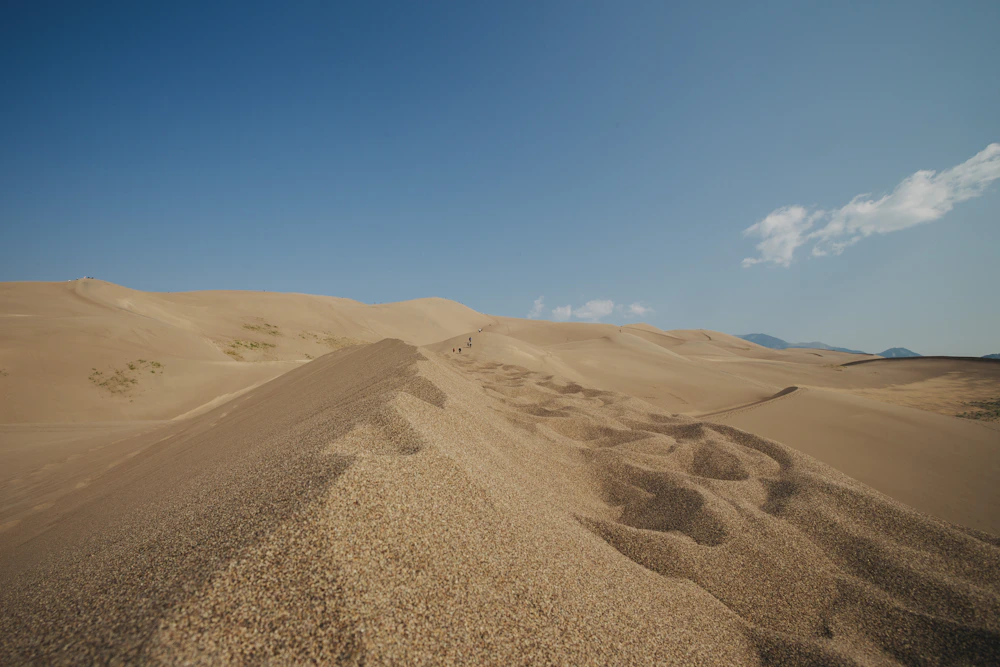 Sunlight over sand dunes